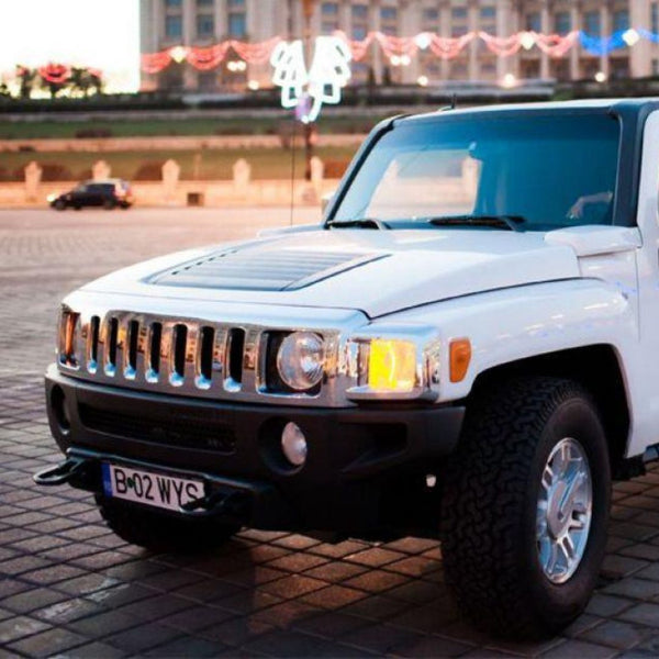 Luxury limousine ride